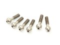 INFINITY R0200ST ボールビスセット φ 8.5mm(チタン/6pcs/IF18-2)